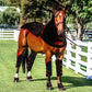 Red Light Therapy for Horse/Pets