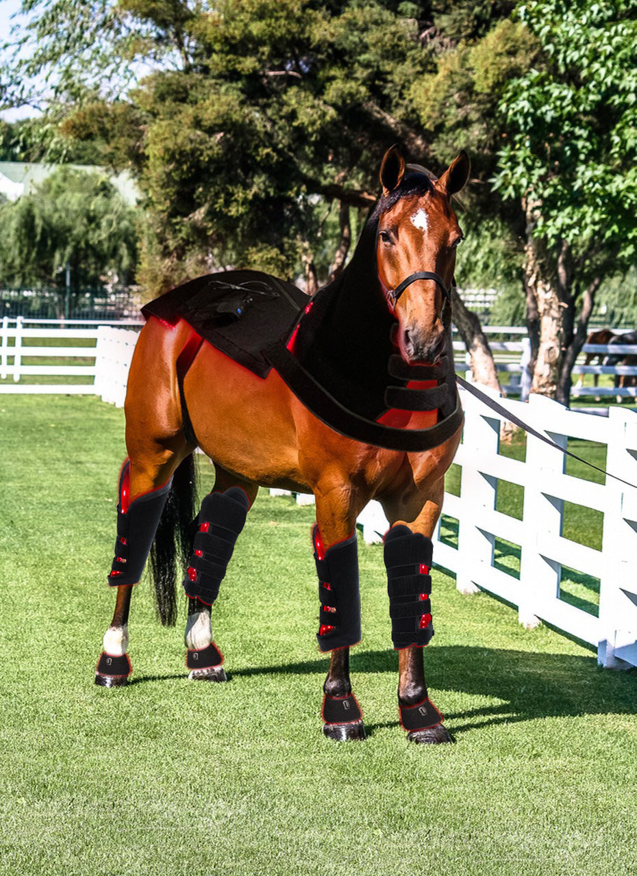 Red Light Therapy for Horse/Pets